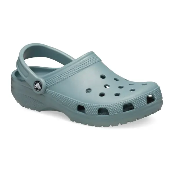 Classic Clog pond5